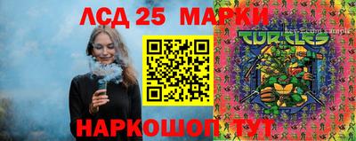 шишки Кандалакша