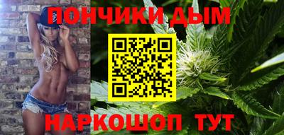 шишки Кандалакша