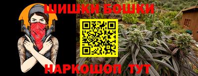 шишки Кандалакша