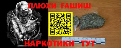 шишки Кандалакша