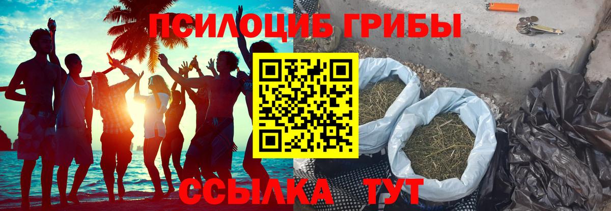 Галлюциногенные грибы ЛСД Кстово