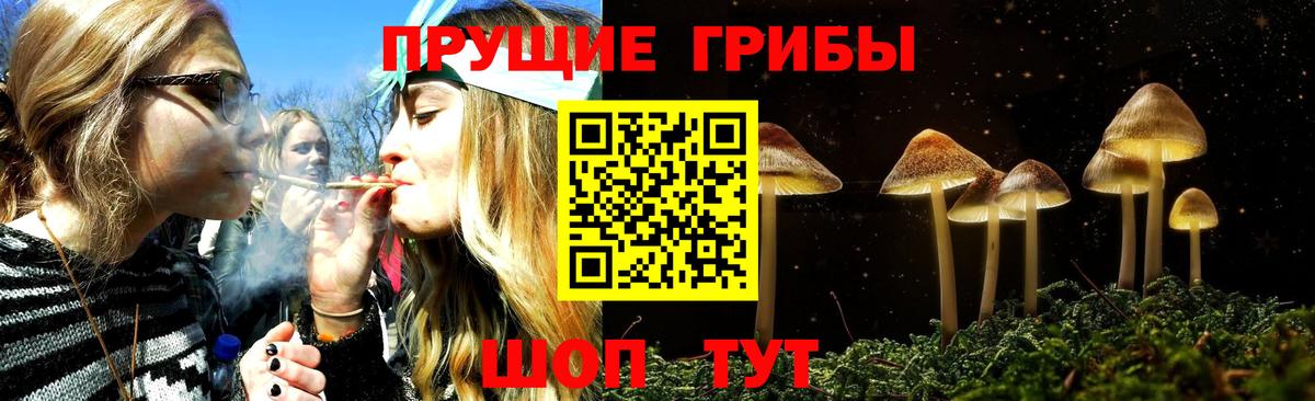 Галлюциногенные грибы MAGIC MUSHROOMS  Галлюциногенные грибы MAGIC MUSHROOMS  Кстово  Вход с VPN 