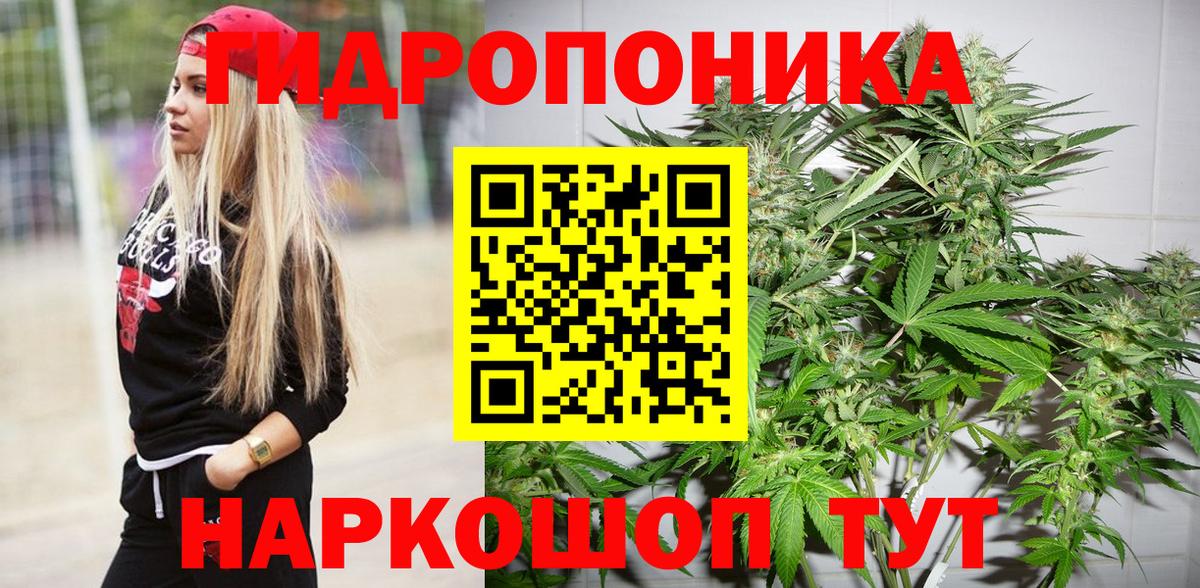 Кстово  Каннабис гибрид  Вход с VPN  Канабис OG Kush  Марихуана ГИДРОПОН 